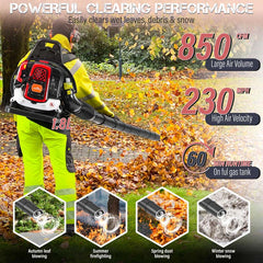 65CC 2-Stroke 850CFM 230MPH Gas-Powered Backpack Leaf Blower (Black)