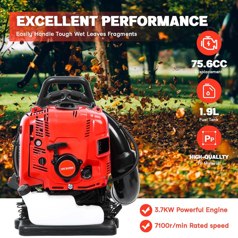 75.6CC 4-Stroke 900CFM 210MPH Gas-Powered Backpack Leaf Blower